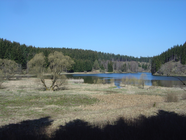 DSC07966